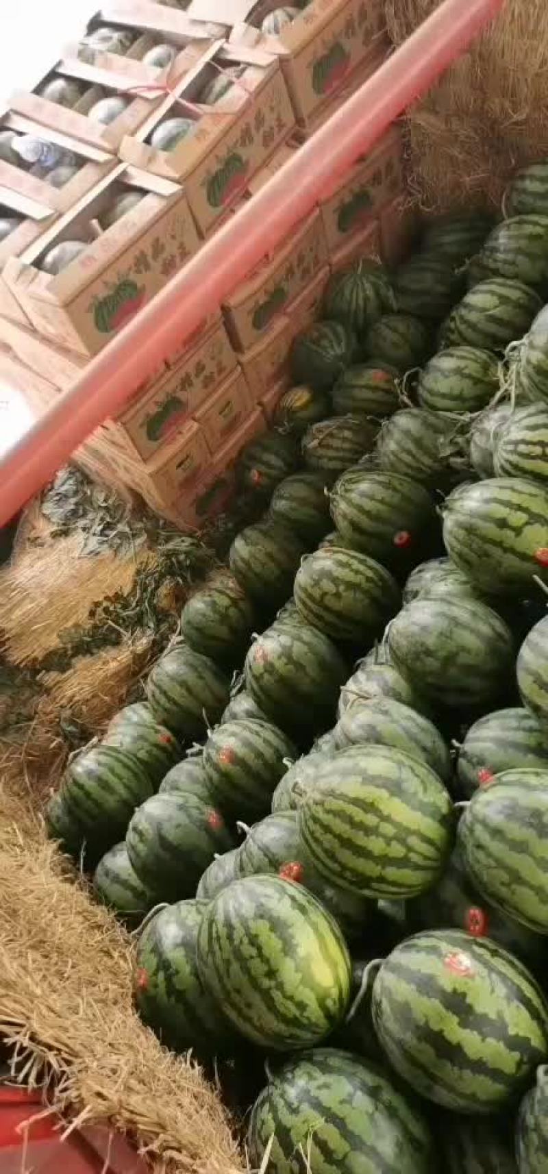 新鲜十足