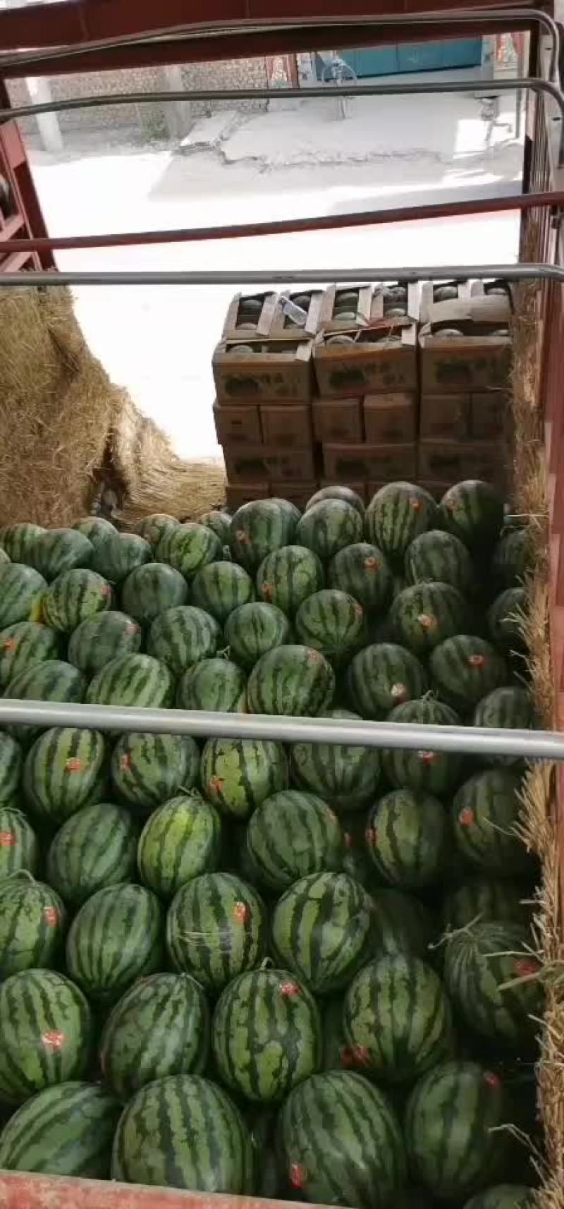 新鲜十足