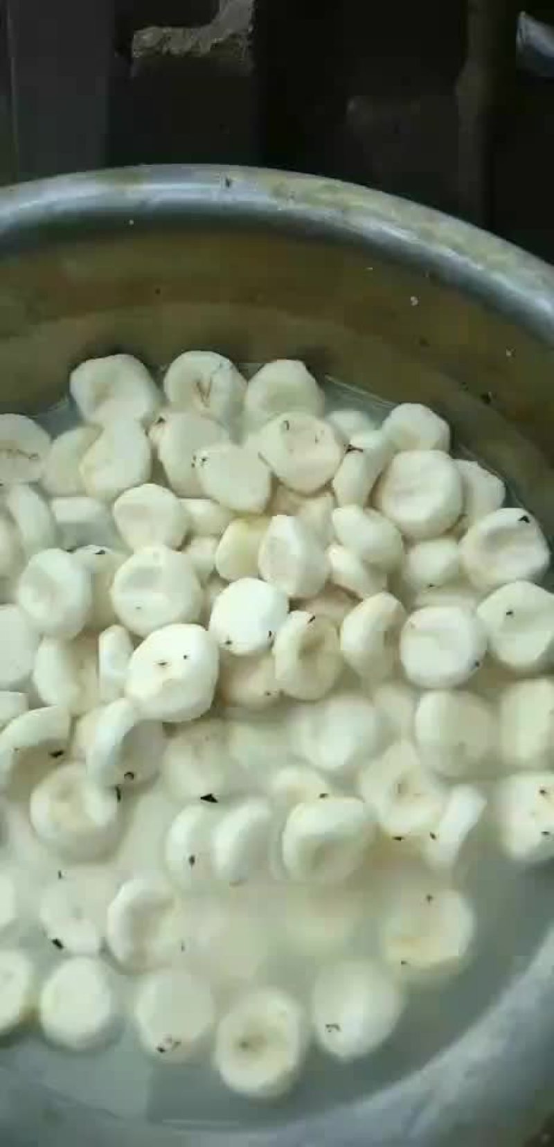 马蹄，丁，片