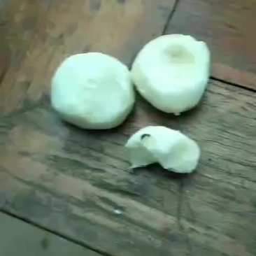 马蹄，丁，片