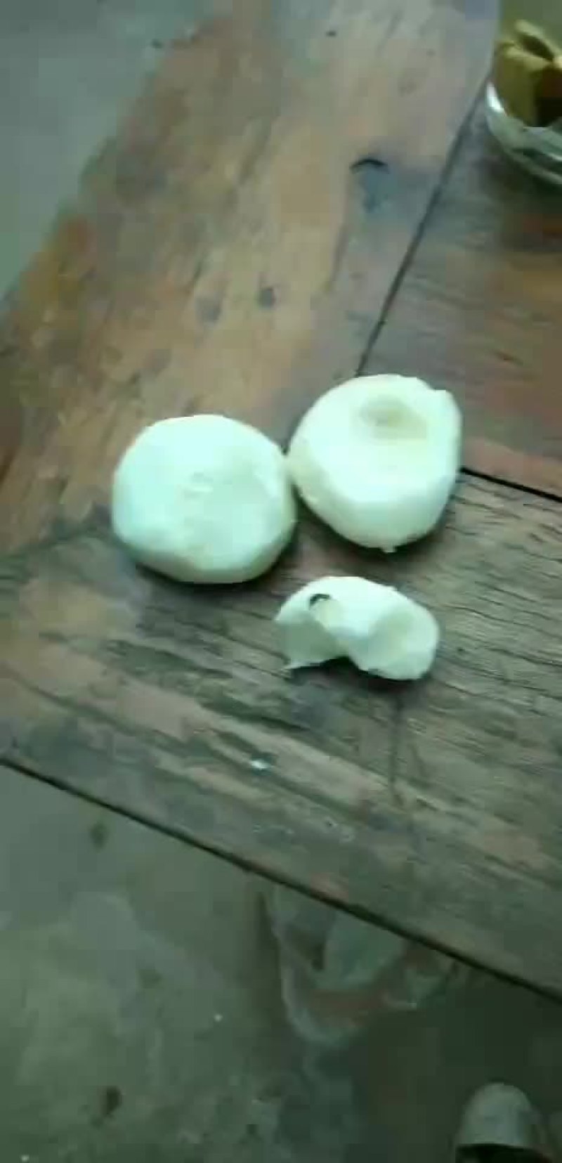 马蹄，丁，片