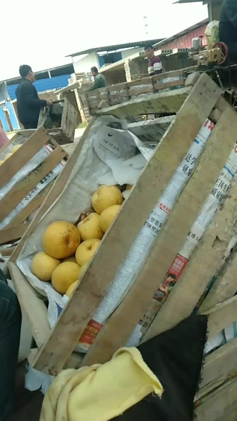 梨
