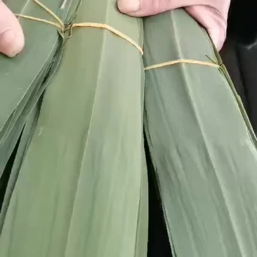原产地粽子叶
