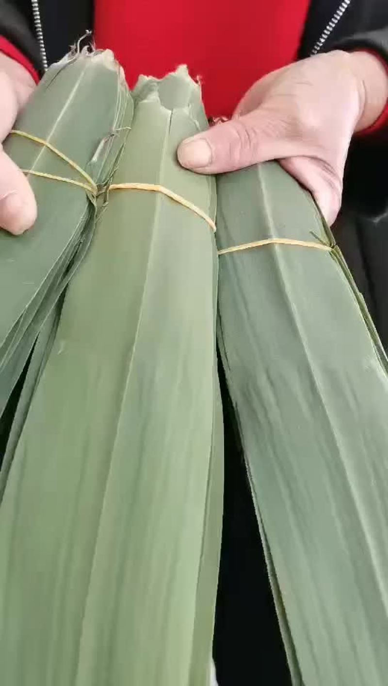 原产地粽子叶
