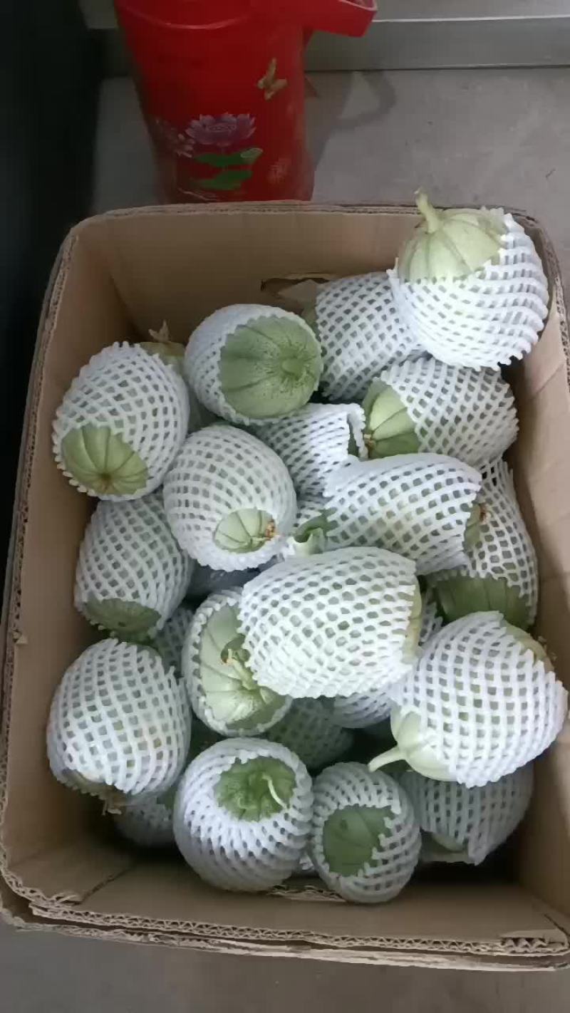 脆瓜