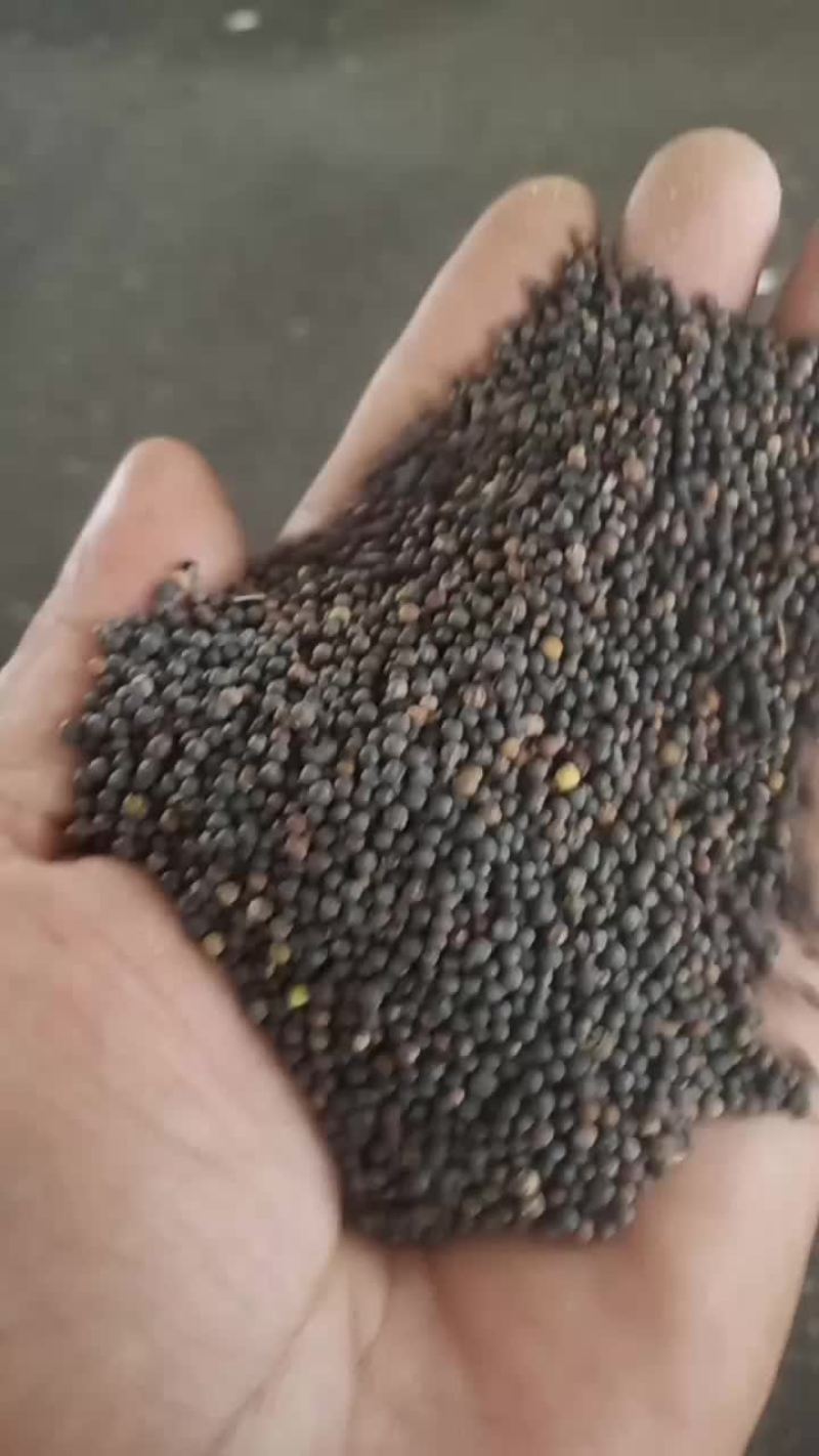 油菜籽