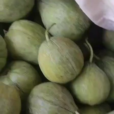 甜瓜大量上市