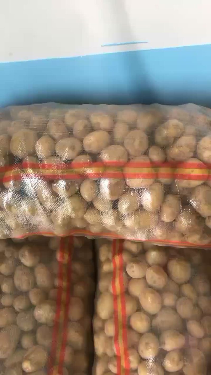 小土豆