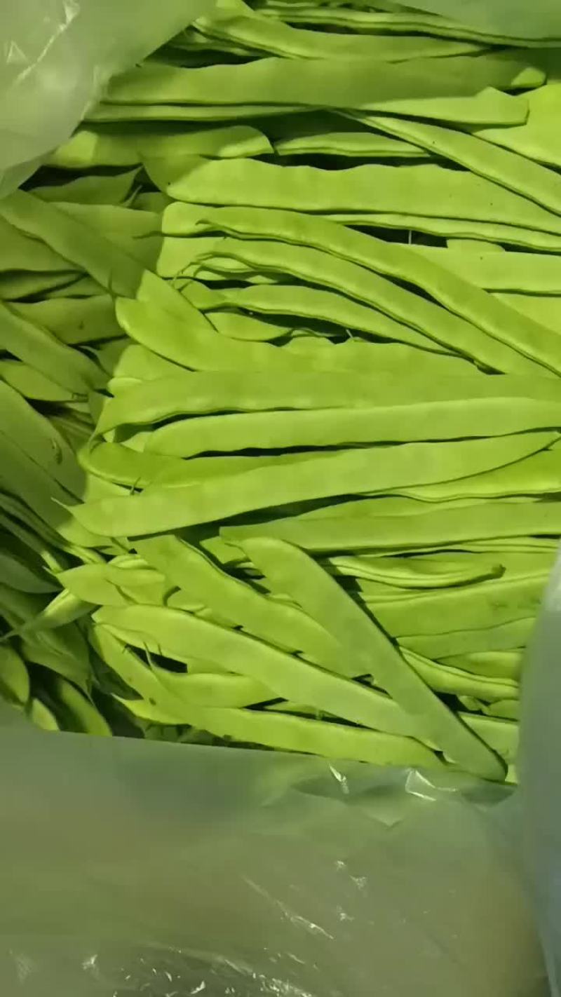 大扁芸豆