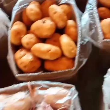 云南土豆，丽薯6号