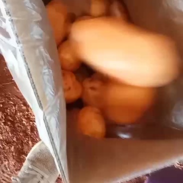 黄心大白菜