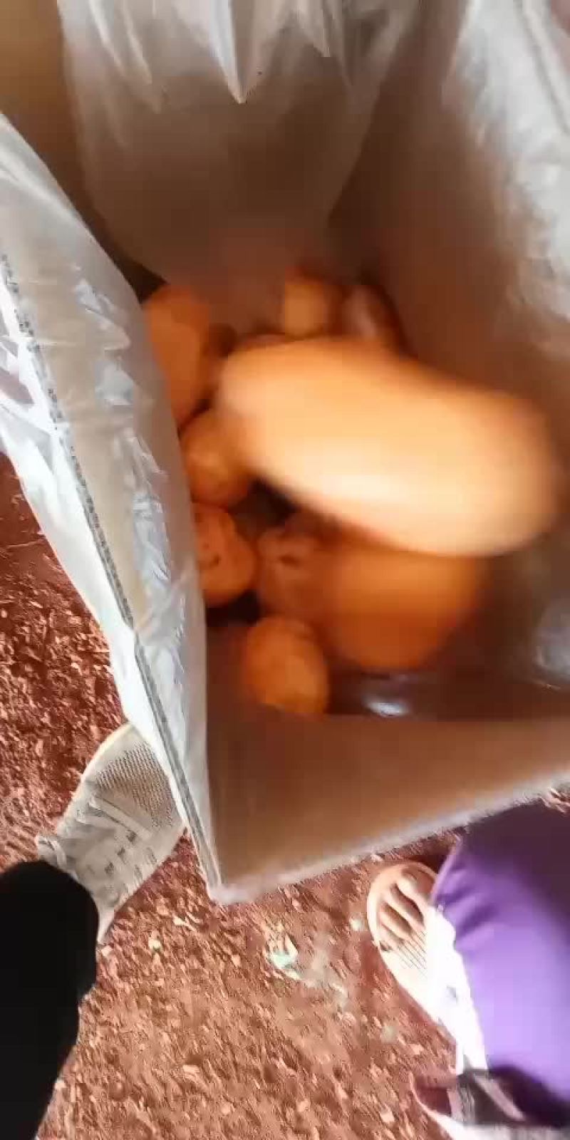 黄心大白菜