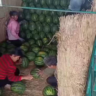 山东甜王