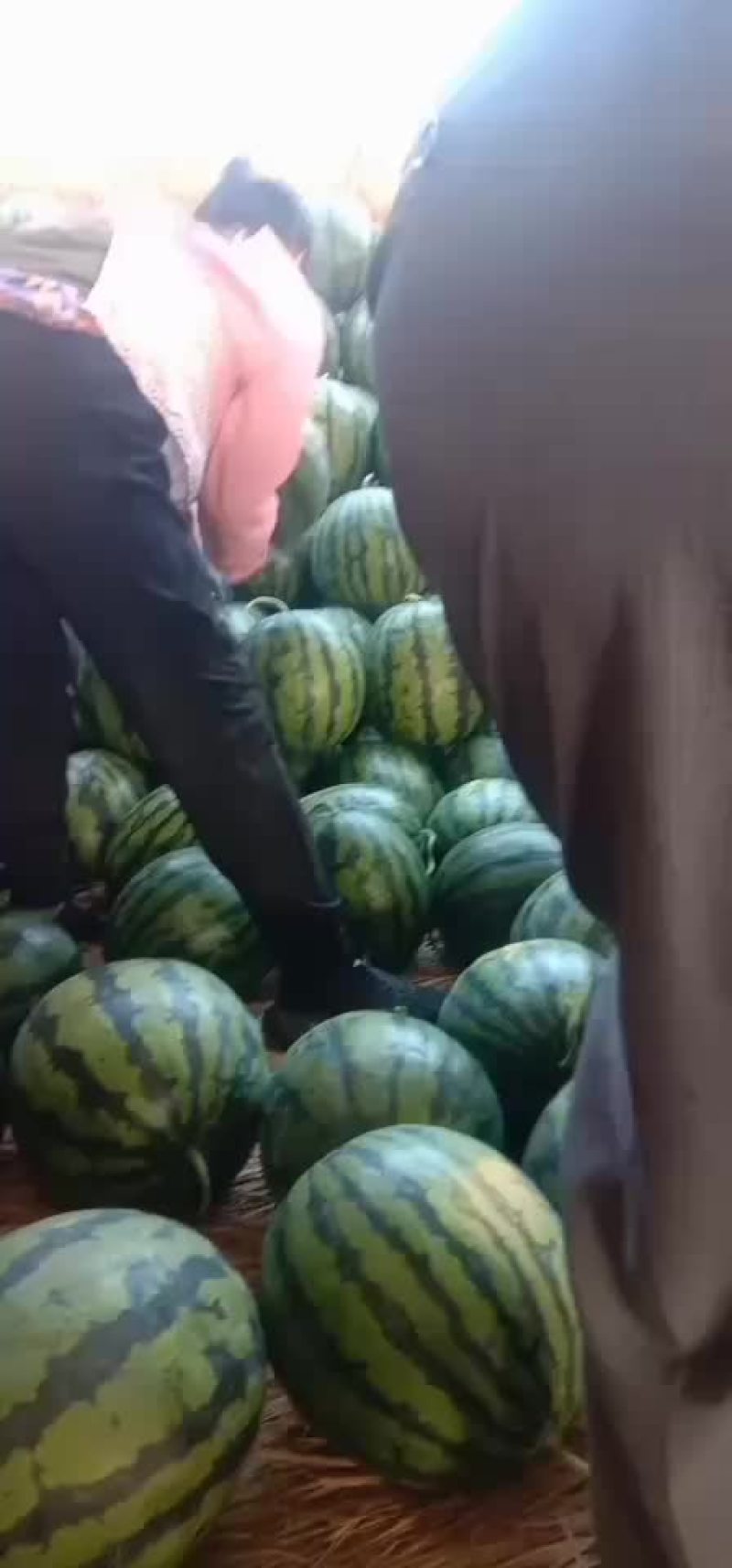 山东甜王