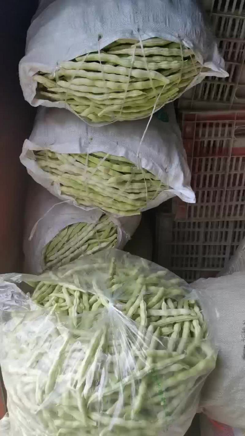 青岛平度芸豆大量上市中，色绿条直，三十公分以上，