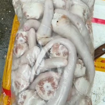 猪尾巴