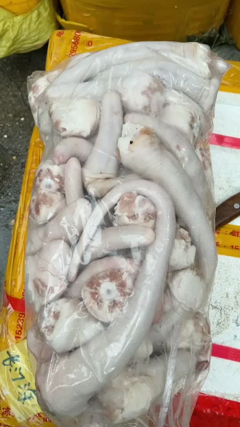 猪尾巴