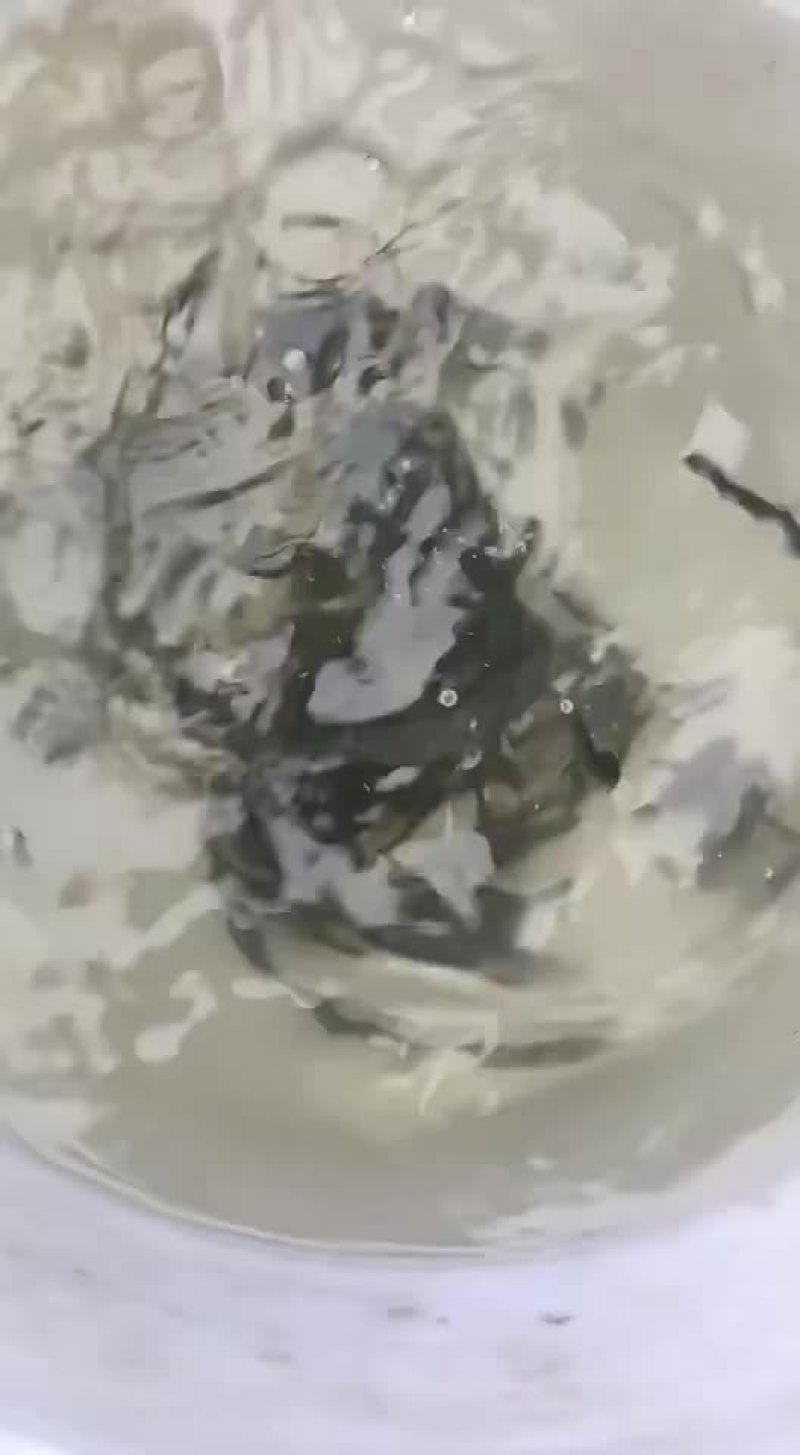 鳜鱼苗