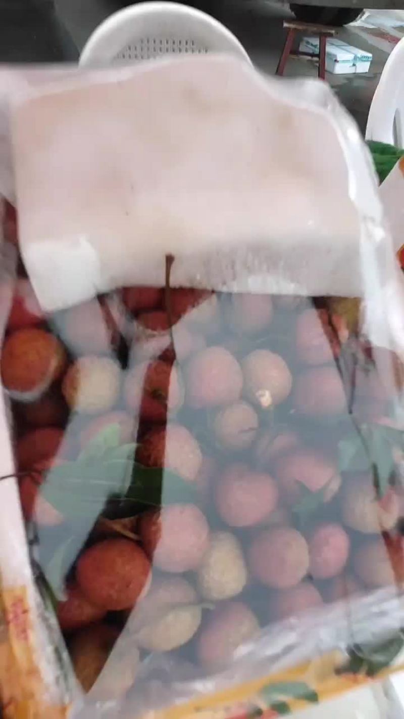 荔枝