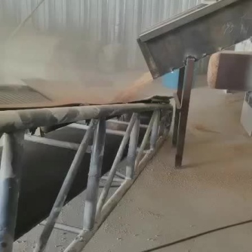 稻壳，压缩稻壳。大量出售。