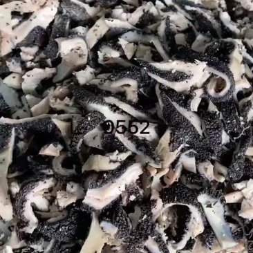 熟黑毛肚丝