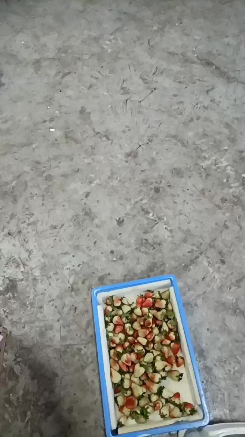 货量充足