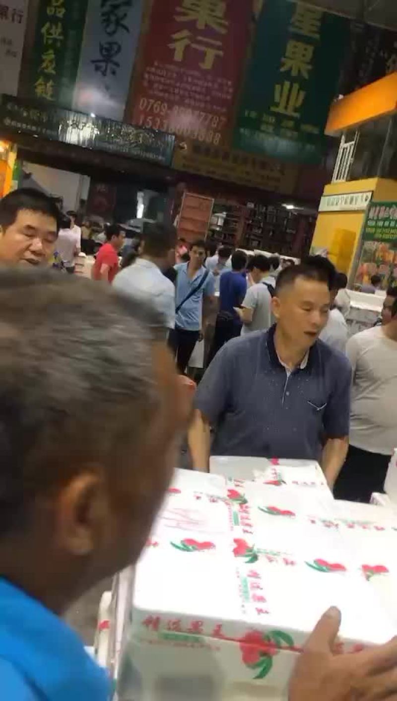 荔枝，大量接，每天出货6万斤+