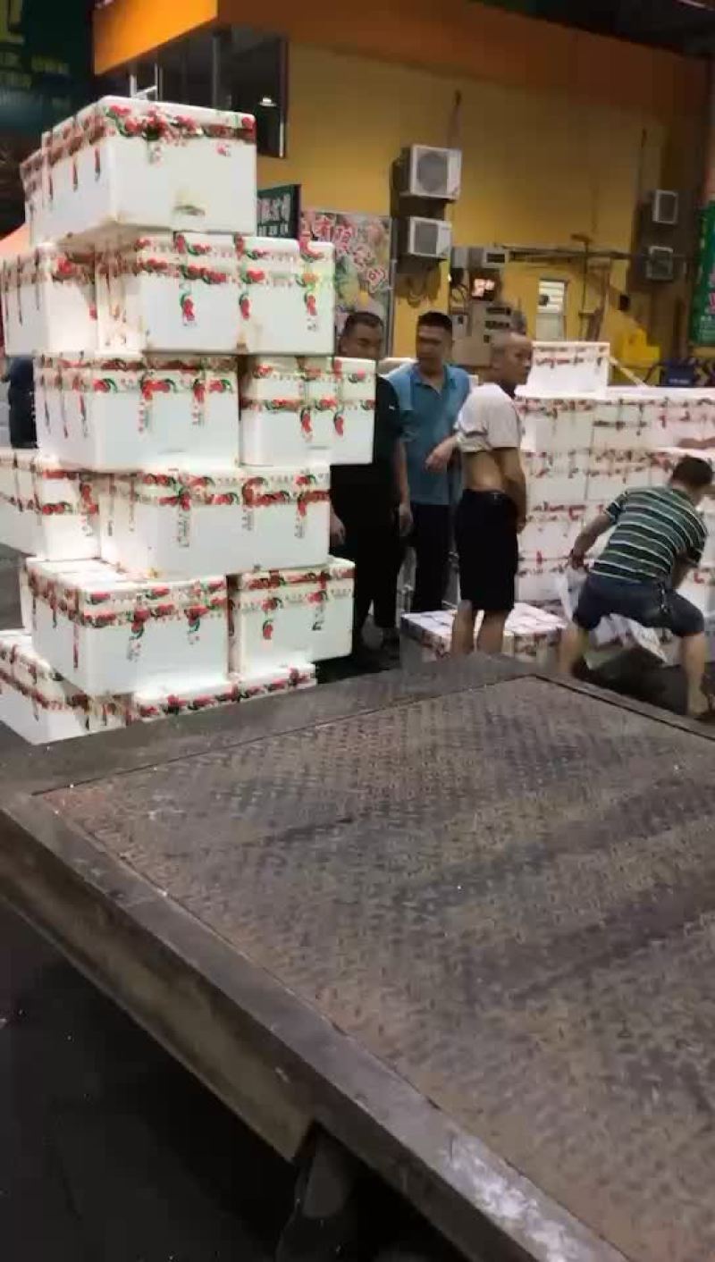 荔枝，大量接，每天出货6万斤+