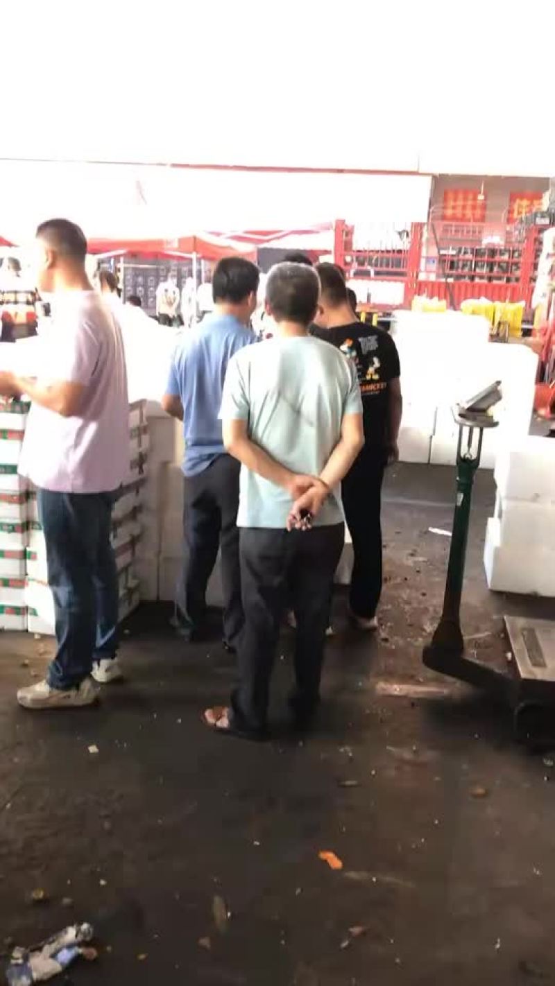 荔枝，大量接，每天出货6万斤+