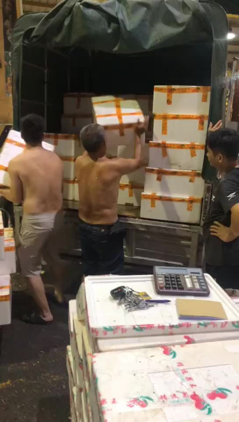 荔枝，大量接，每天出货6万斤+