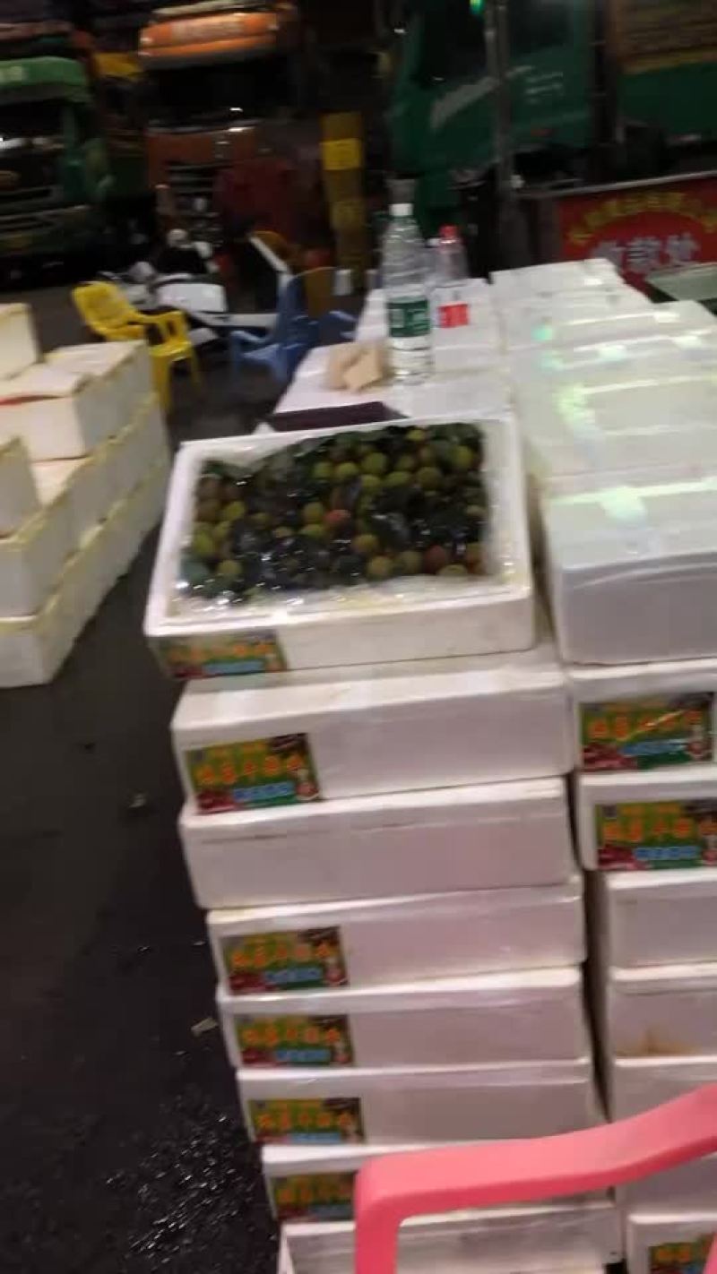 荔枝，大量接，每天出货6万斤+