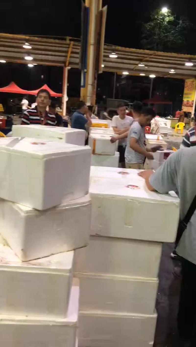 荔枝，大量接，每天出货6万斤+