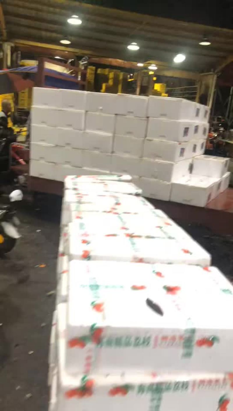 荔枝，大量接，每天出货6万斤+