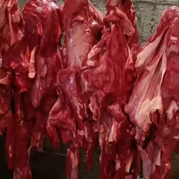 牦牛肉