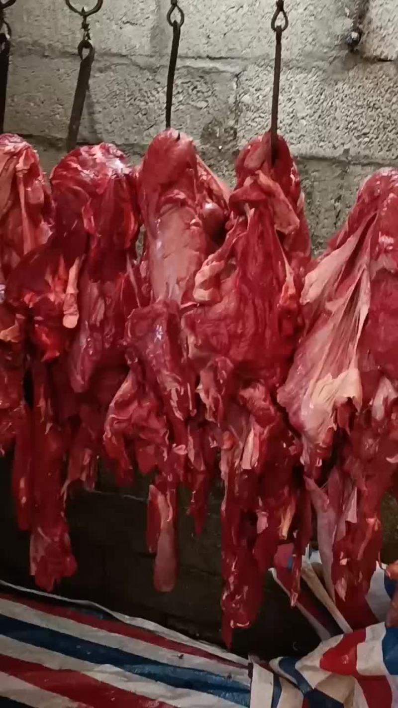 牦牛肉
