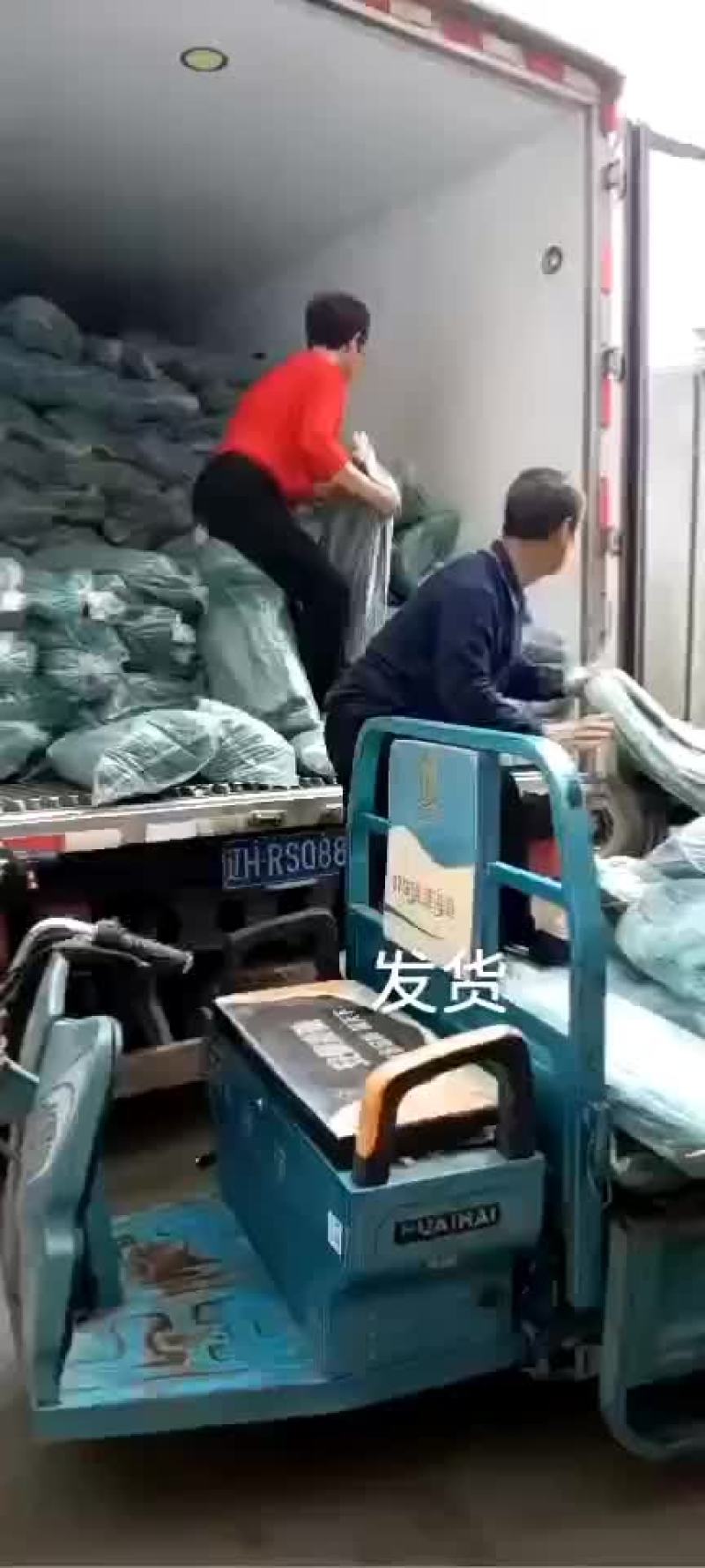 粽子叶，芦苇叶