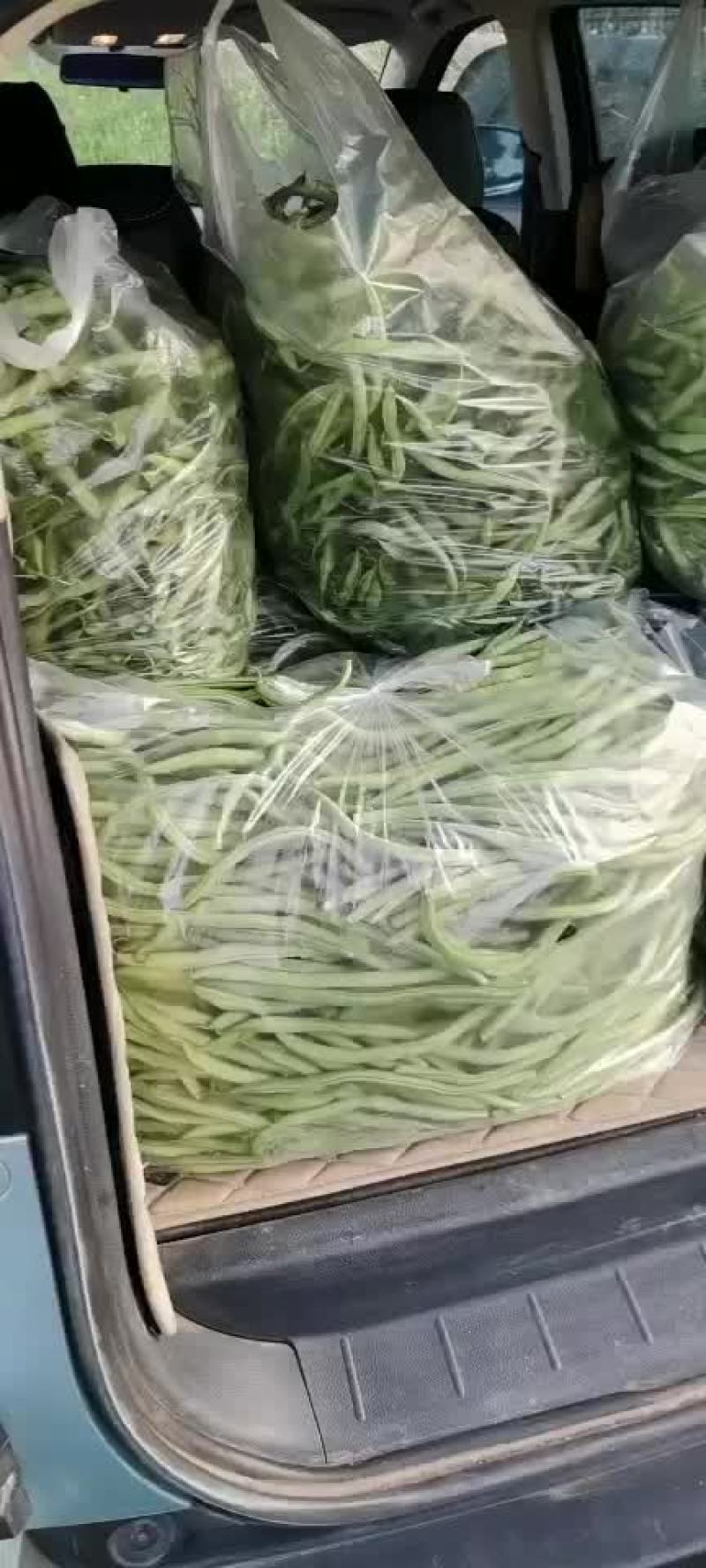 豆王