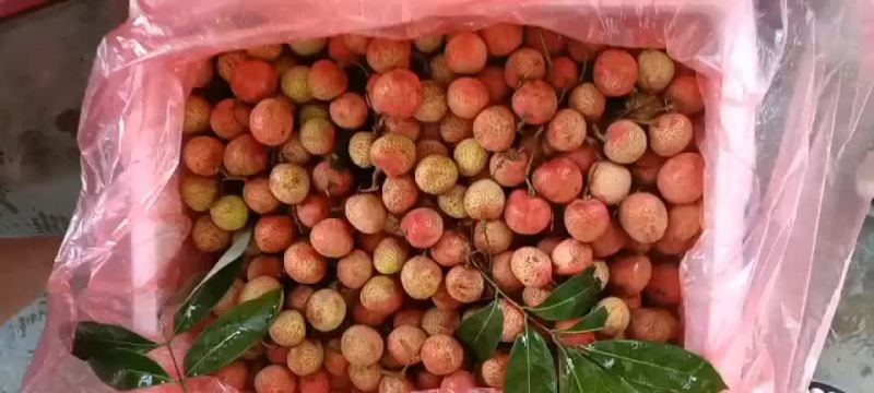 越南荔枝