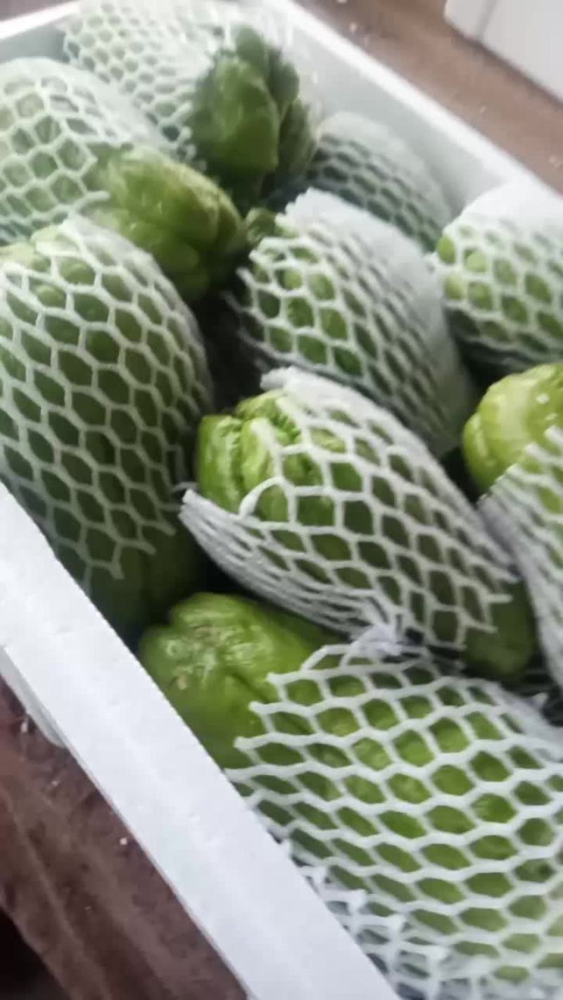 佛手瓜