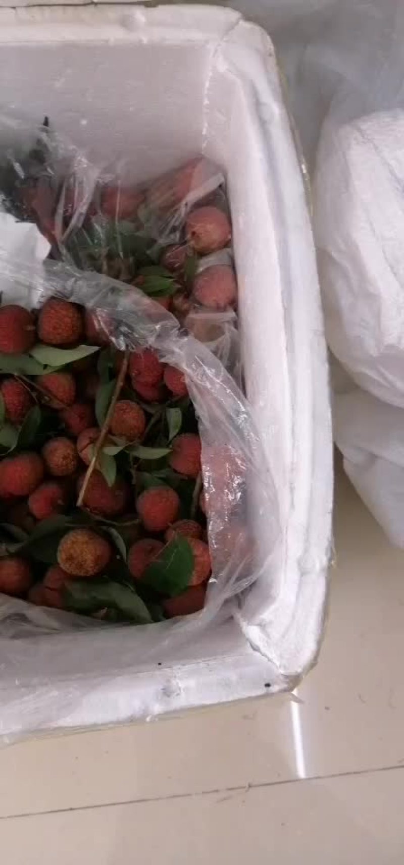 正宗高州荔枝白糖罂荔枝精选果