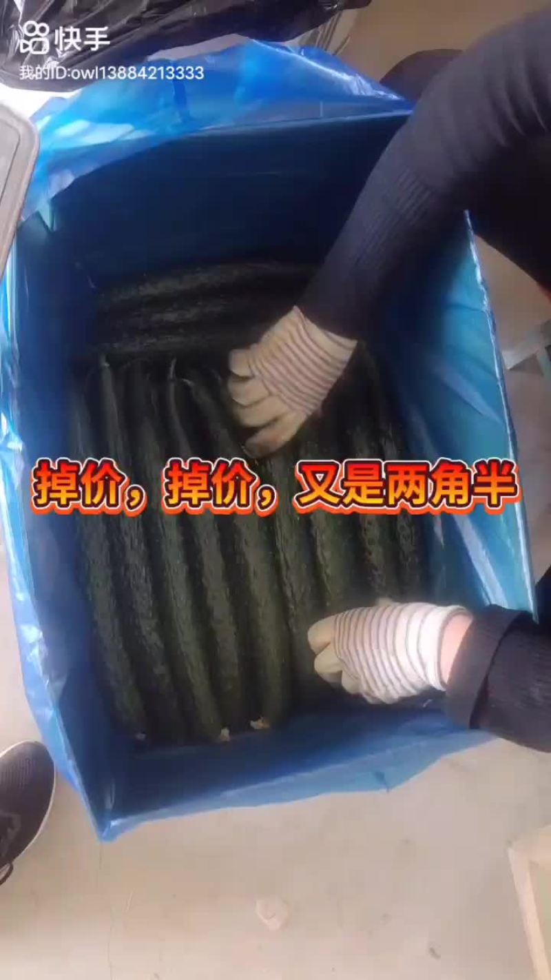 黄瓜干花带刺，诚信第一