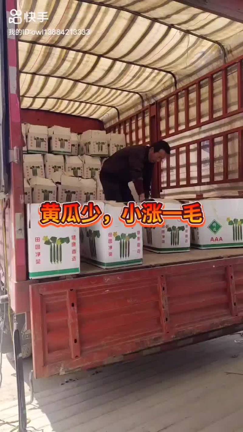 黄瓜干花带刺，诚信第一