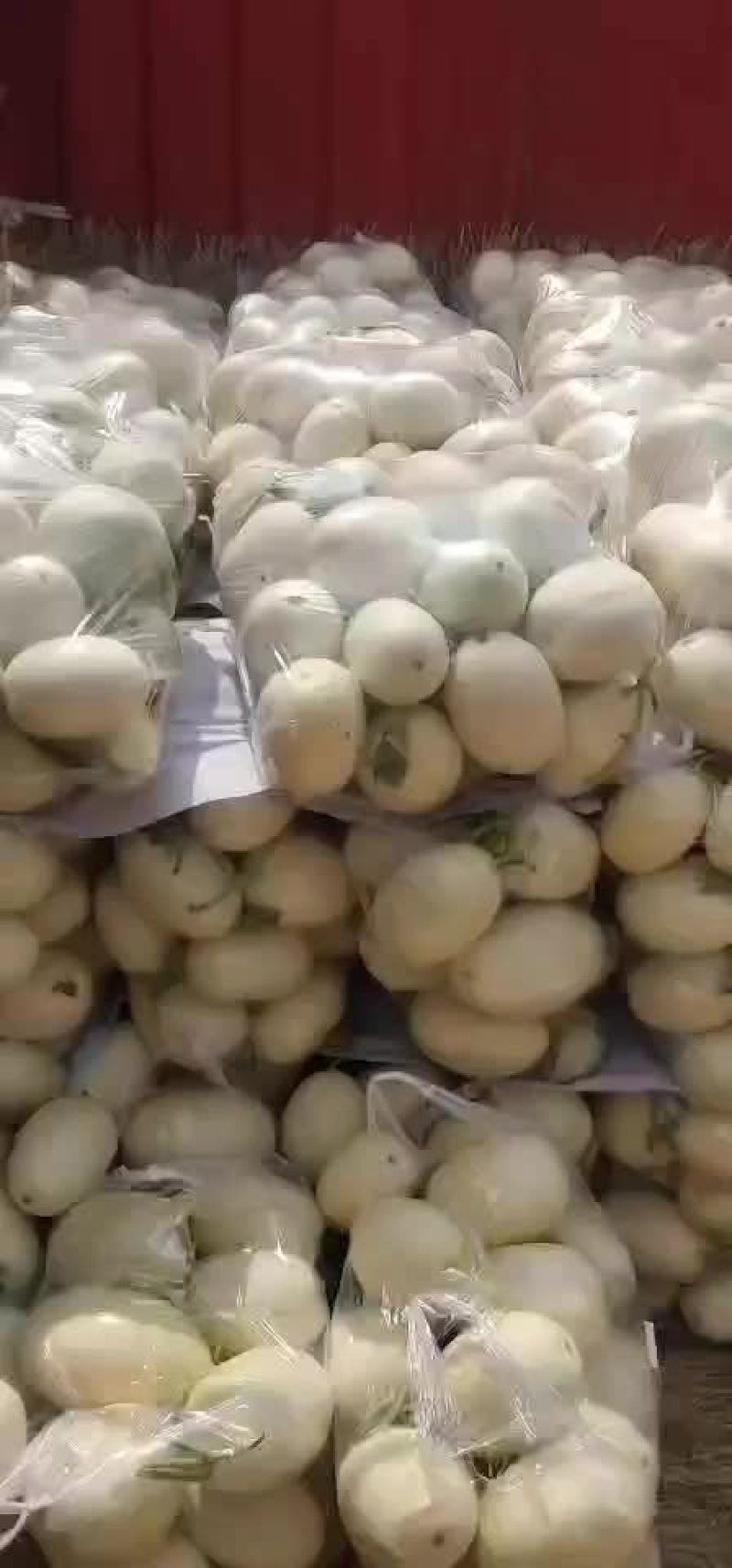 东方蜜