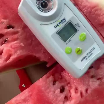 山东甜王西瓜
