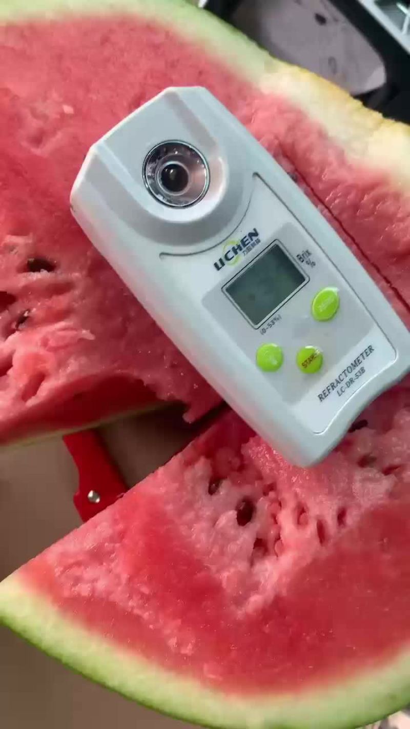 山东甜王西瓜