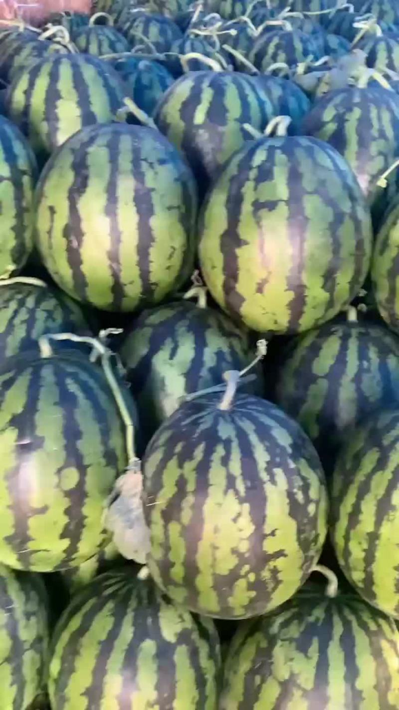 山东甜王西瓜
