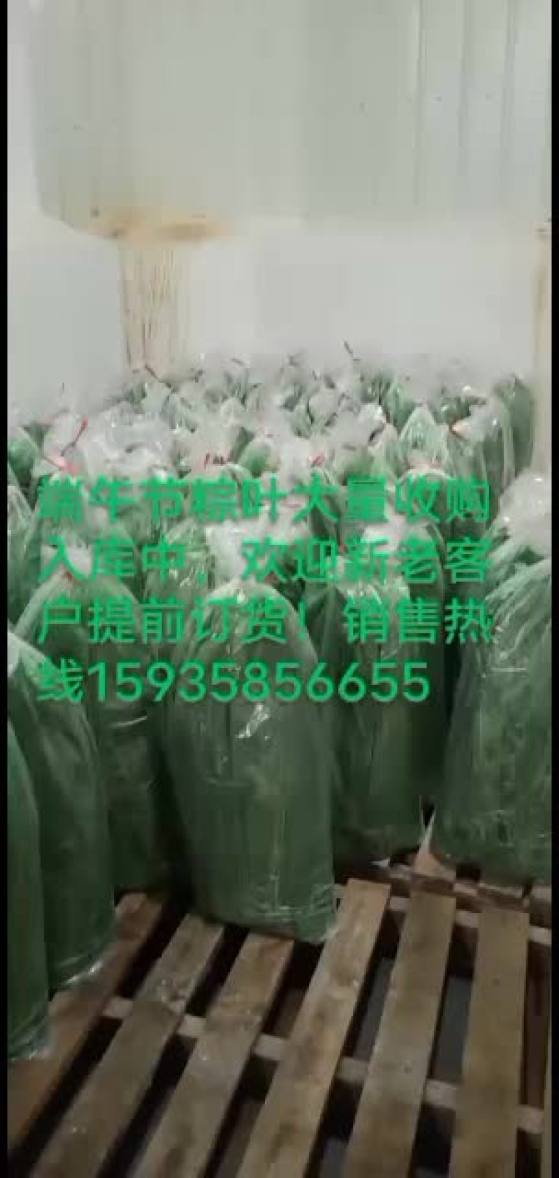粽叶