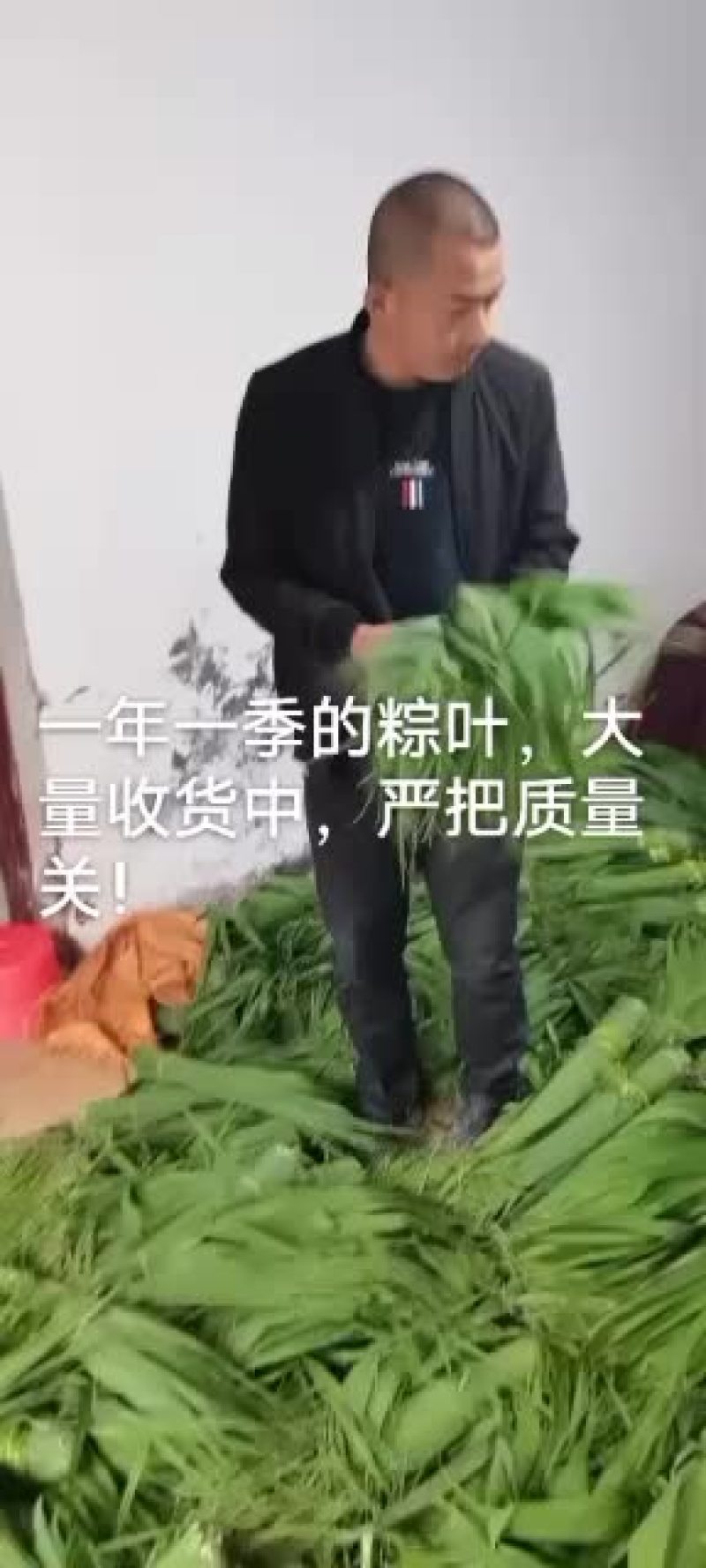 粽叶