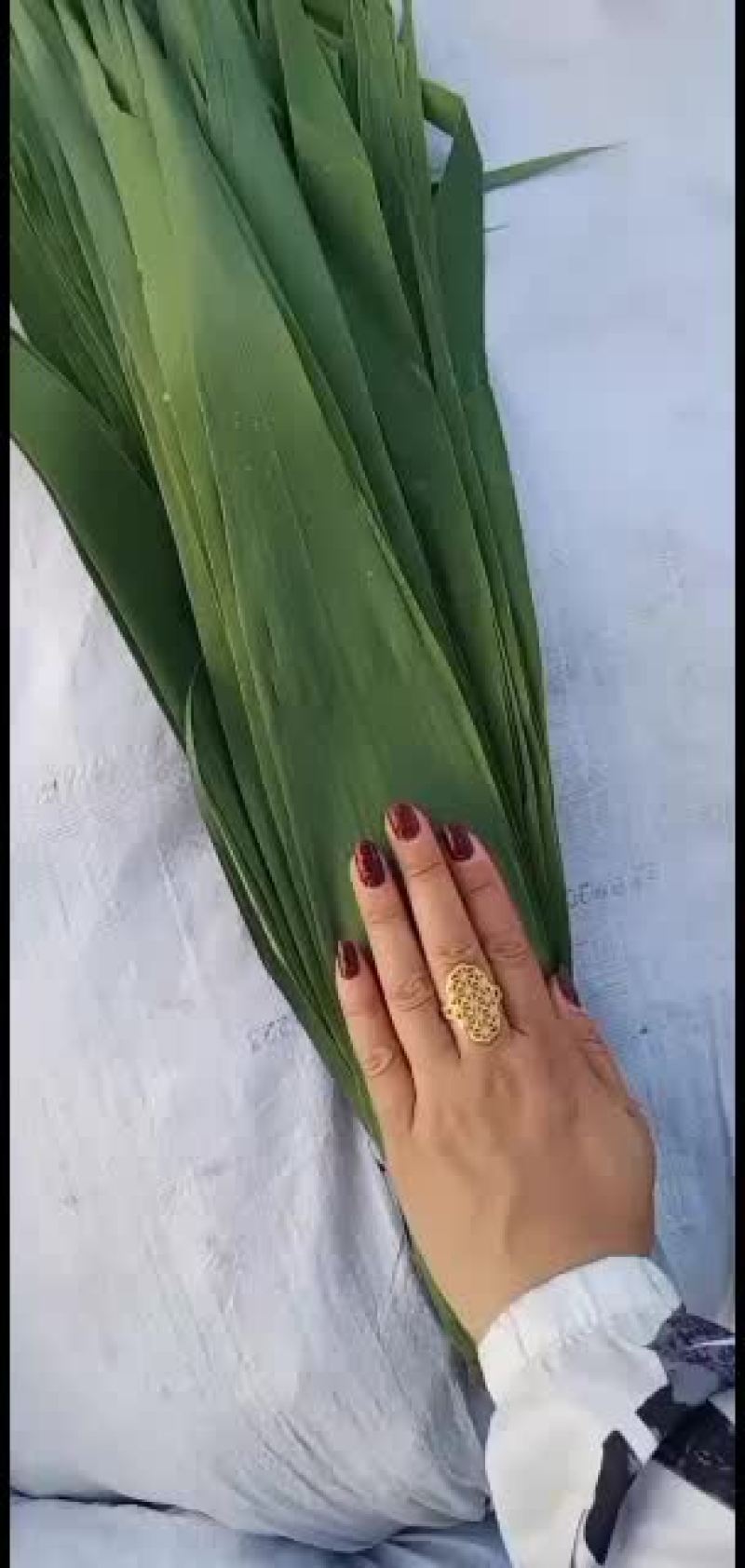 粽叶