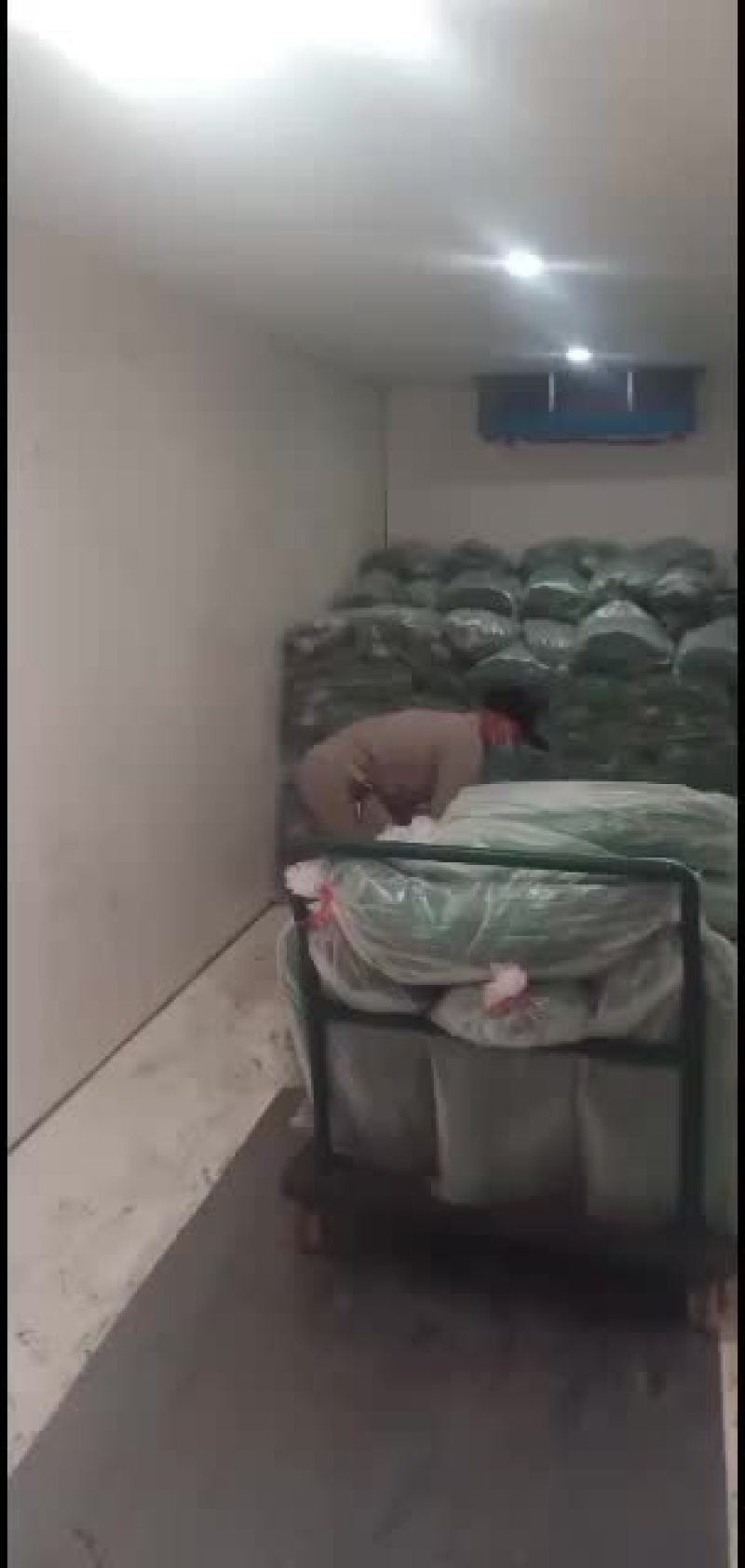 粽叶